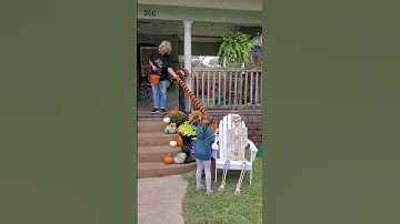 Trick or Treating Looks a Lot Different || Viralhog