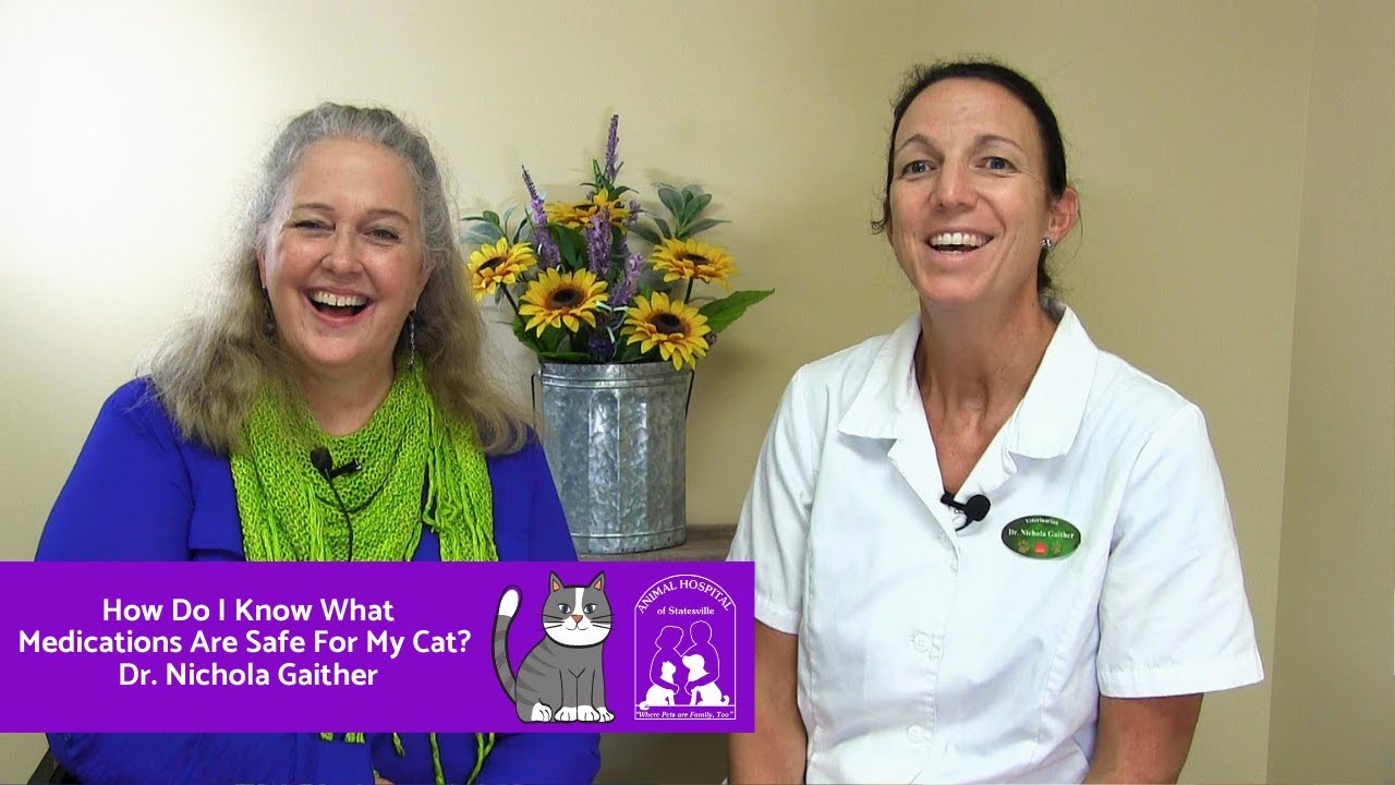 How Do I Know What Medications Are Safe For My Cat? YouTube