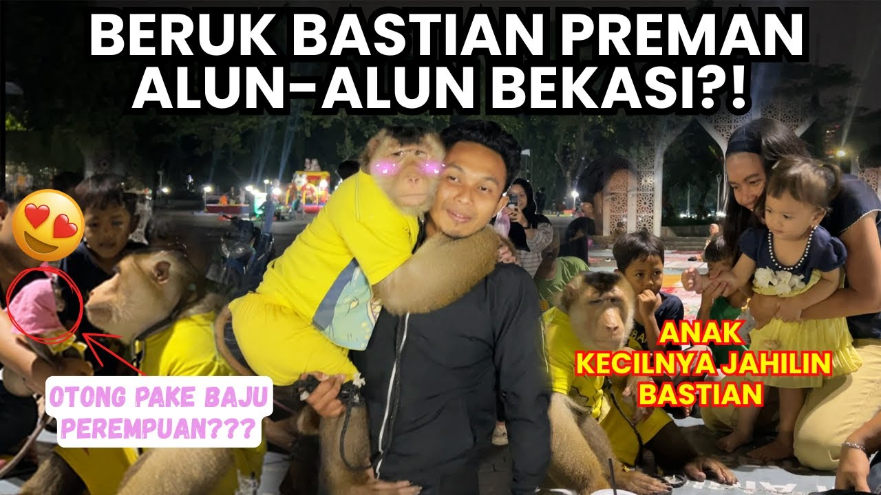 Повёл обезьяну Бастиана гулять на площадь Бекаси, а он еду у продавцов просит?!