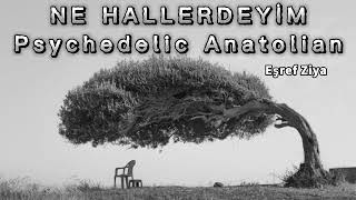 Ne Hallerdeyim - Cover - Psychedelic Anatolian  ( Eşref Ziya )
