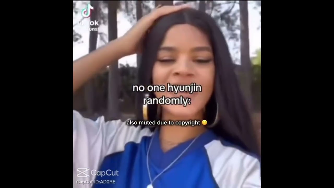 SKZ memes llread description 