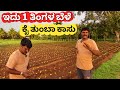 6      2    exotic vegetables farming in kannada