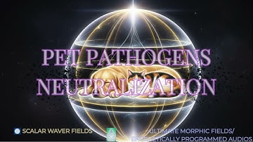 Pet Pathogens Neutralization PREMIUM SUPERCHARGED ULTRA POWERFUL!!!(Energetic In-formation)