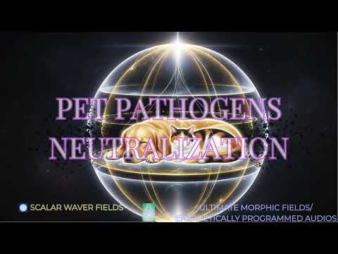 خنثی سازی پاتوژن های حیوانات خانگی پریمیوم فوق العاده قدرتمند اطلاعات پرانرژی