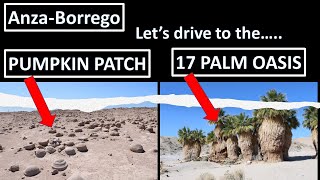 Anza-Borrergo PUMPKIN PATCH & 17 PALM OASIS - Drive the Arroyo Salado wash & visit our native plants