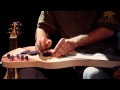 The Moog Lap Steel