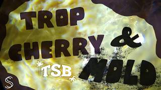 "Trop Cherry Comparison" | THCA SmallBuds | SmallzSmokez THCA Review