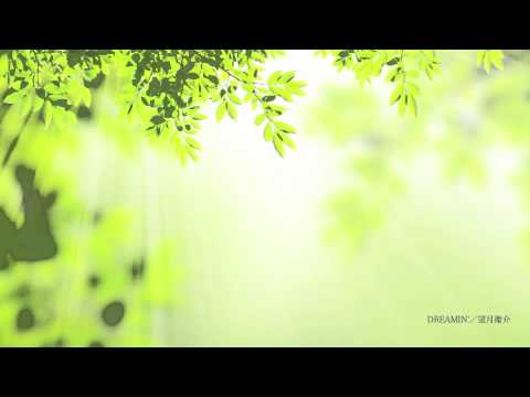 DREAMIN'/EISUKE MOCHIZUKI EAP#32