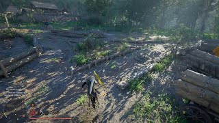 Crimson Desert - Piranha - Underwater Ecosystem Challenge - Dewheaven logging camp