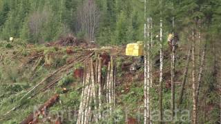 Olympic Peninsula Logging