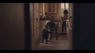 The Farmer's Dog Forever' Song by Lee Fields | Super Bowl 2023 Ads | Ads