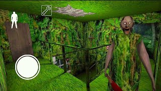 The Deeper I Went Into The Jungle | The Worse It Got 🌲👁️