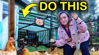 One Simple Thing Helps Chickens So Much In Winter (no Electricity Needed!)