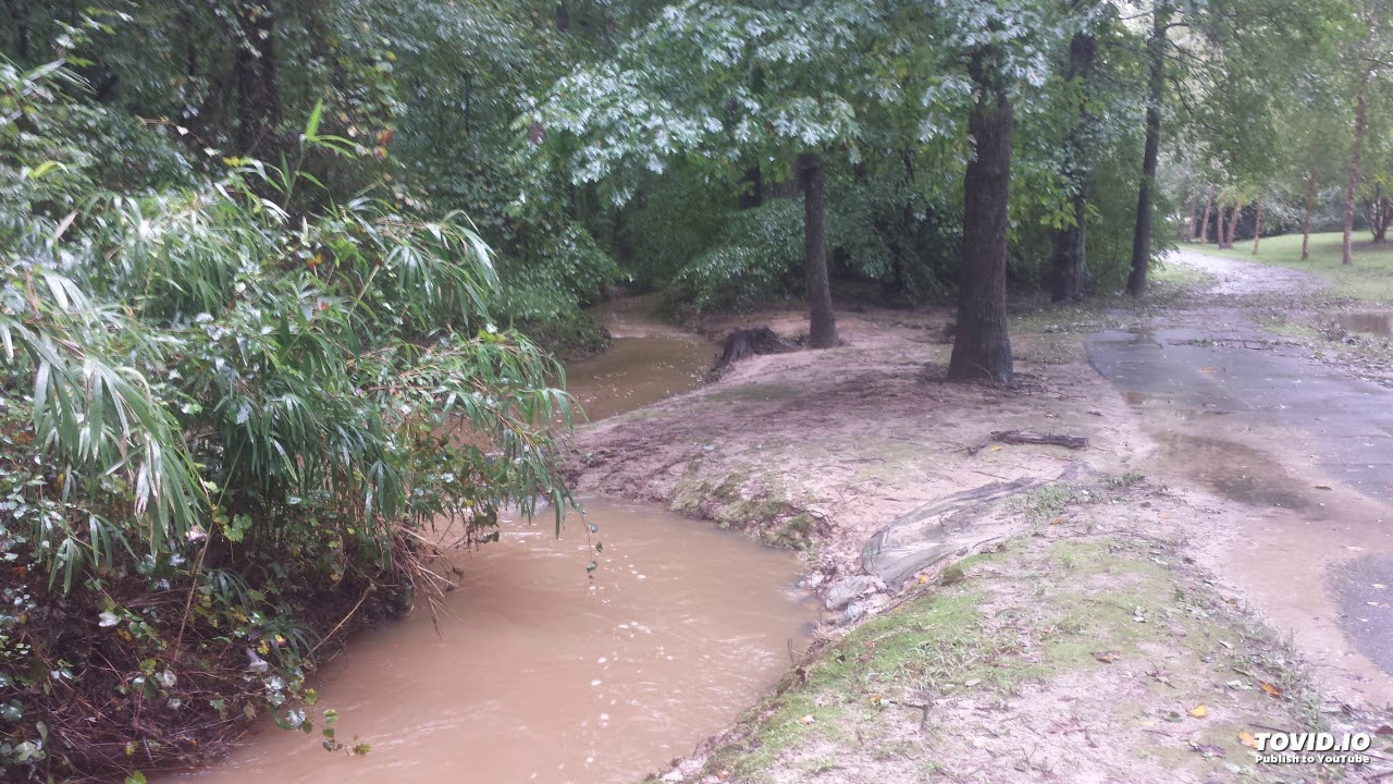 Buckwheat Zydeco / Hey Joe YouTube