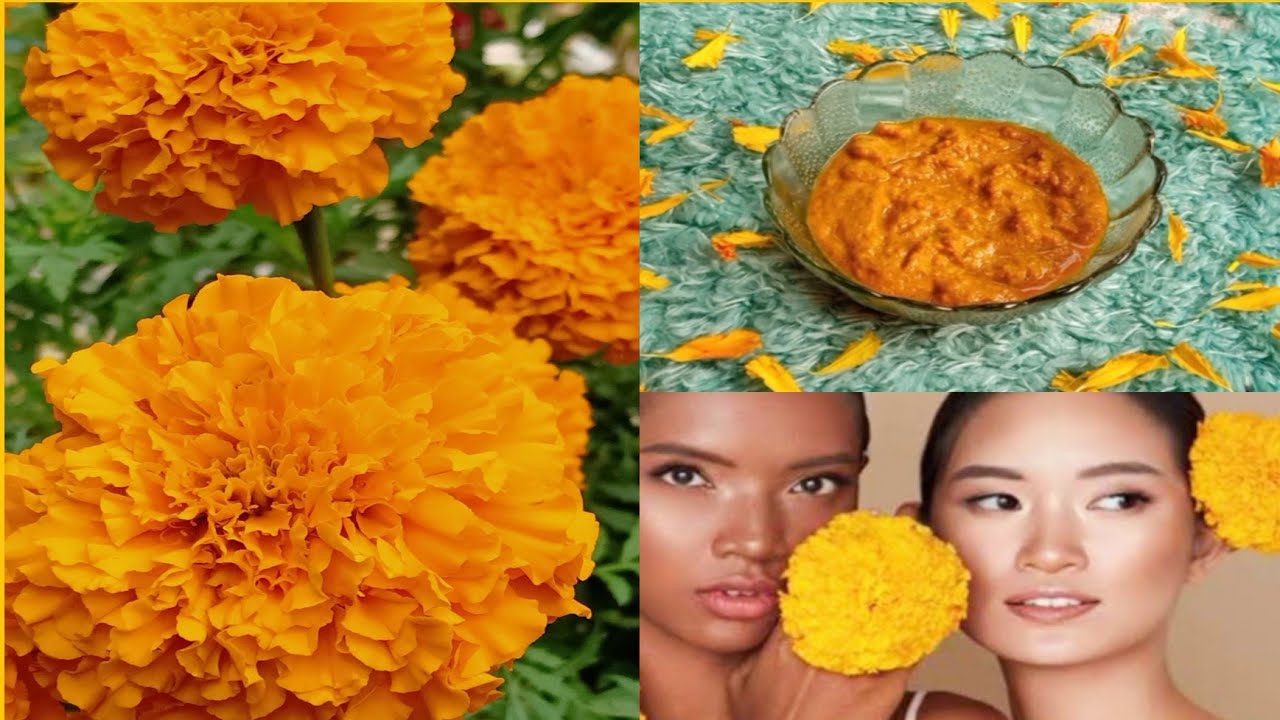 How to make marigold flower face pack at home ll For dry/oily/glowing skin natural face mask