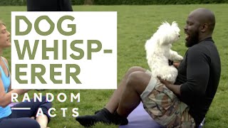 Solving homophobia & racism | Dog Whisperer by KG & Marston | Short Film | Random Acts