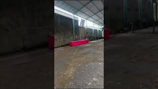 Kata-katane kang ojing fun #dangdut #dangdutmusic #orkesjepara #brewogaudio #infoorkesjepara #dangdu