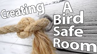 Creating a Bird Safe Room | Topics