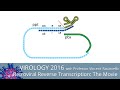 Virology Lectures 2016: Retroviral Reverse Transcription