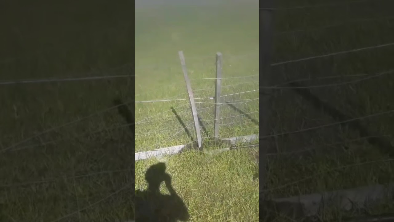 6 de febrero de 2026