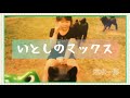 いとしのマックス/  荒木一郎/ いそみーんの歌謡・アルバム/ 132