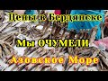 ЦЕНЫ на РЫНКЕ в БЕРДЯНСКЕ. МЫ ОЧУМЕЛИ. Азовское море