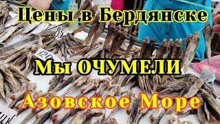 ЦЕНЫ на РЫНКЕ в БЕРДЯНСКЕ. МЫ ОЧУМЕЛИ. Азовское море