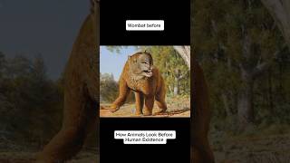 How Marsupial Lions &amp; Giant Wombats Looked Before Humans (Then vs Now)