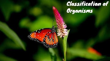 Science Chapter 1.2 (Form 2)