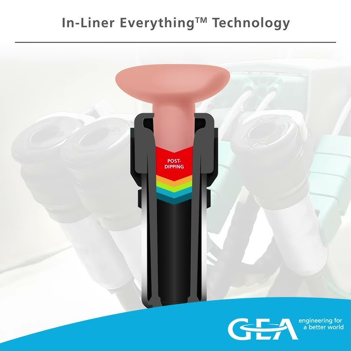 GEA Dairy Farming - In-liner everything™ technology
