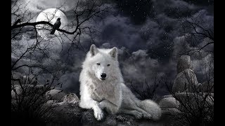 Wolf Spirit  (Fantasy Music) screenshot 4