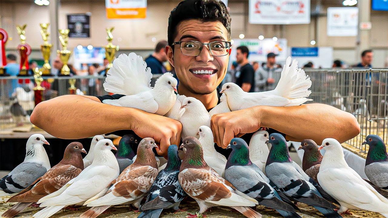¡ENCONTRÉ LAS PALOMAS MÁS EXÓTICAS Y CARAS DEL MUNDO!