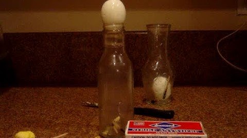 Egg Experiment part 4