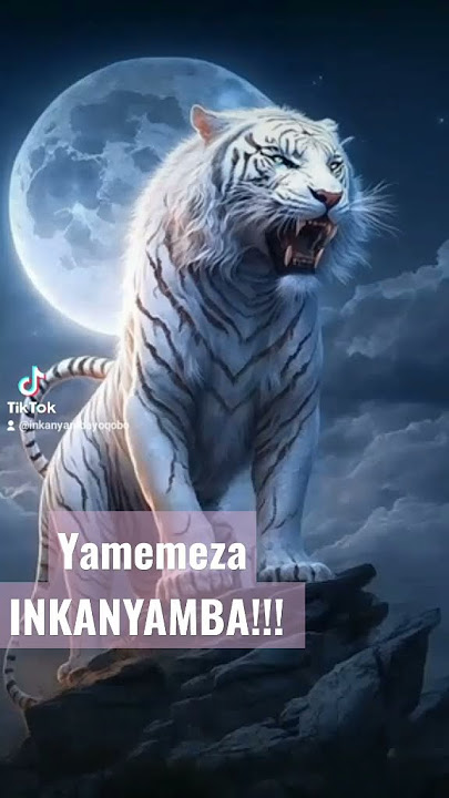 #INKANYAMBA YOQOBO_-_umthinini!!!
