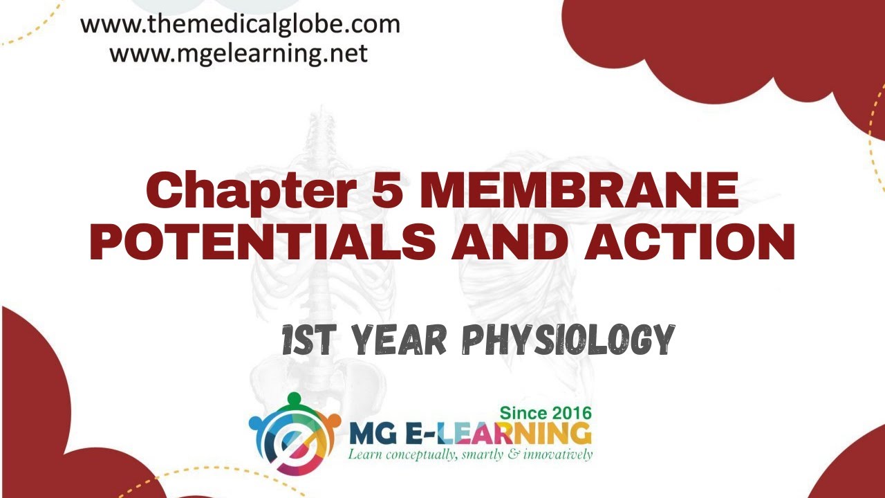 Membrane Potentials And Action |Chapter 5| |Membrane Physiology, Nerve ...