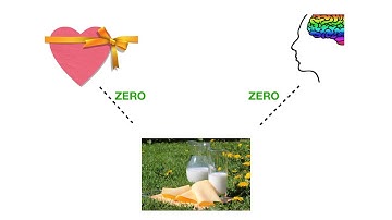 Cyanocobalamin B12 Supplement The Truth