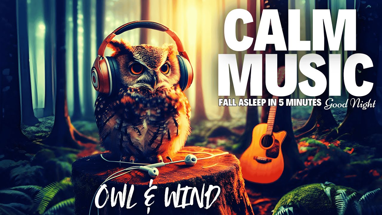 Guarda Experience the CALMEST FOREST NIGHT with Crickets Owls Rain Wind in Trees su YouTube Guarda Experience the CALMEST FOREST NIGHT with Crickets Owls Rain Wind in Trees su YouTube