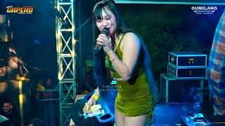 Download Lagu NEW GAPERO MUSIC - SERIBU KALI SAYANG ALL ARTIS - BOLO PEDOT DI SUWATU TLOGOWUNGU PATI MP3
