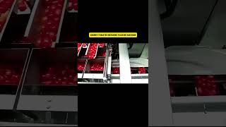 Automatic Cherry Tomato Weighing Packing Machine #automaticmachinery #cherrytomatopackingline