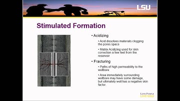 The Skin Effect for Petroleum Reservoirs