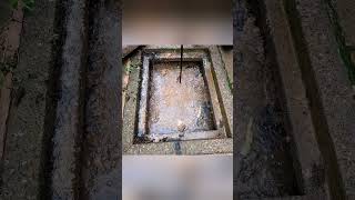 Blocked SOLID Manhole #satisfying #diy #blockeddrain