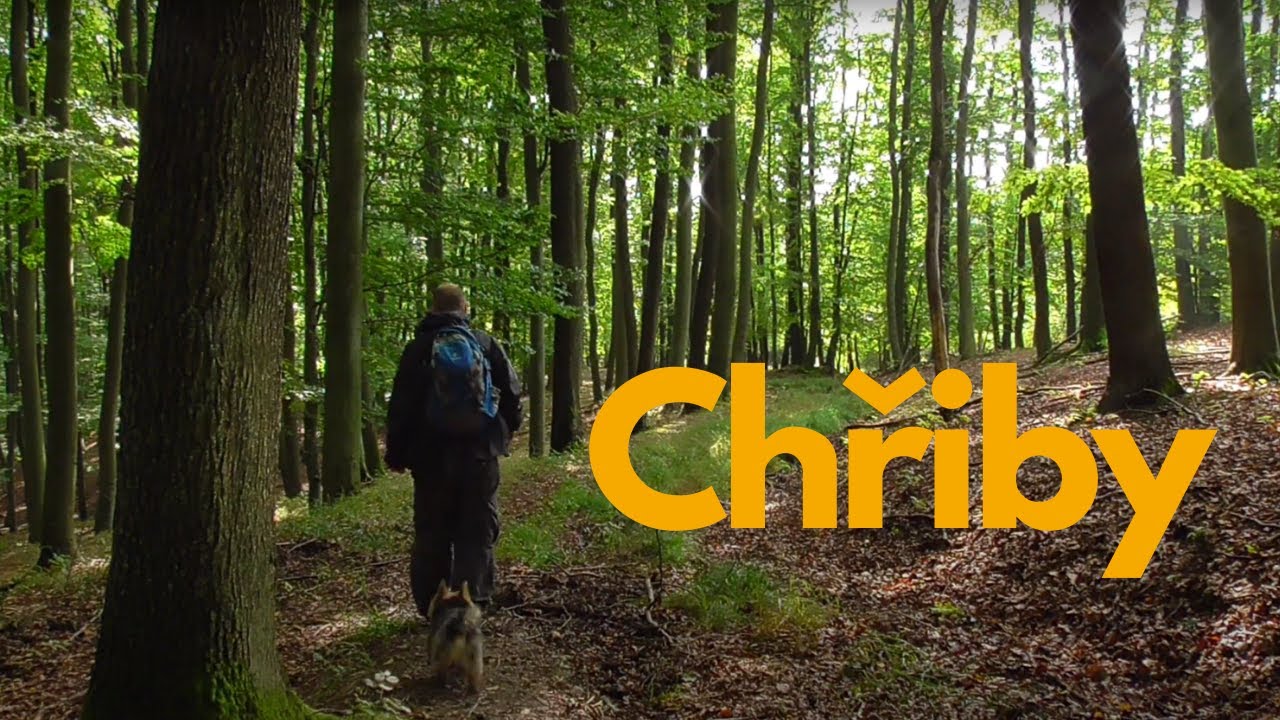 Chřiby - jeden skvělý den | one great day #manfromnature