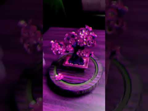 جهان پر از رنج است