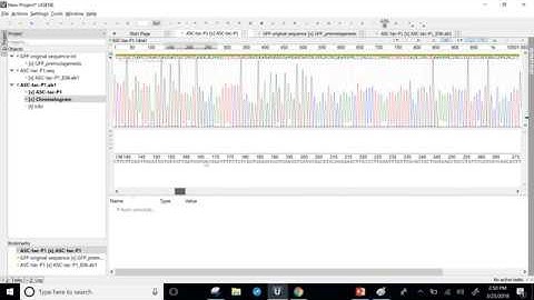 UGENE alignment instructions
