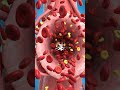 cholesterol in blood # biology #science #animal physiology #blockage of arteries # education