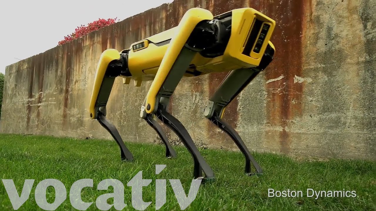 Boston Dynamics' Robot Dogs - YouTube