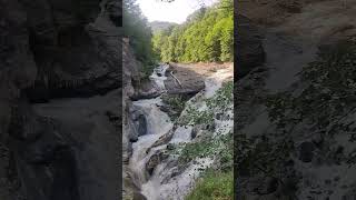 Cascada #viral #official #youtubeshorts #water #waterfall