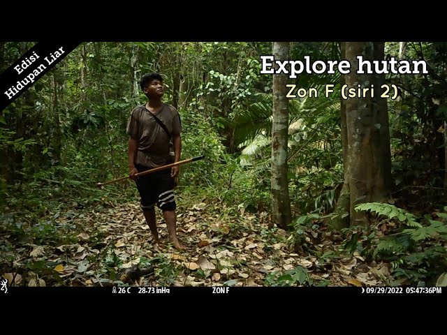 Merungkai apa yang tersimpan di hutan zon F (siri 2). class=