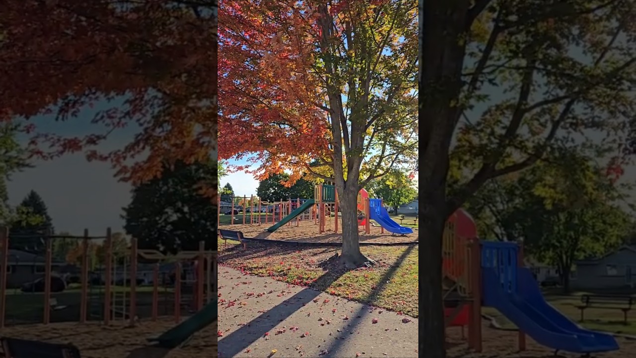 The Playground Mulch Project is done!