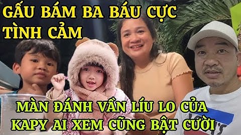 GẤU LÚC NÀO CŨNG BÁM BA BÁU CỰC TÌNH CẢM, MÀN ĐÁNH VẦN LÍU LO CỦA BÉ KAPY TANGO AI XEM CŨNG BẬT CƯỜI